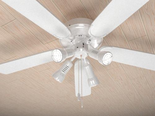 Ceiling Fan preview image